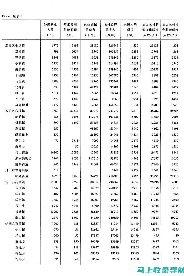 乡镇统计站长年度工作总结报告：团队建设与个人成长的足迹